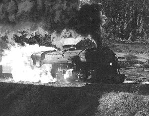 Copyright 1995 O. Winston Link