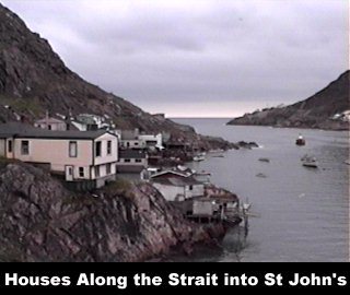 Houses Along the Strait into St John's